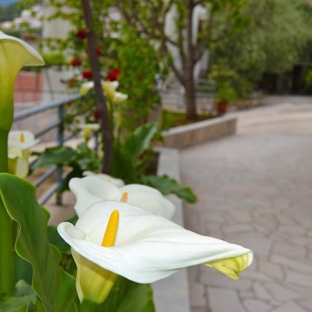 Tivat Apartments Exteriér fotografie