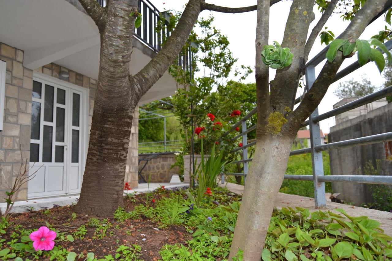 Tivat Apartments Exteriér fotografie