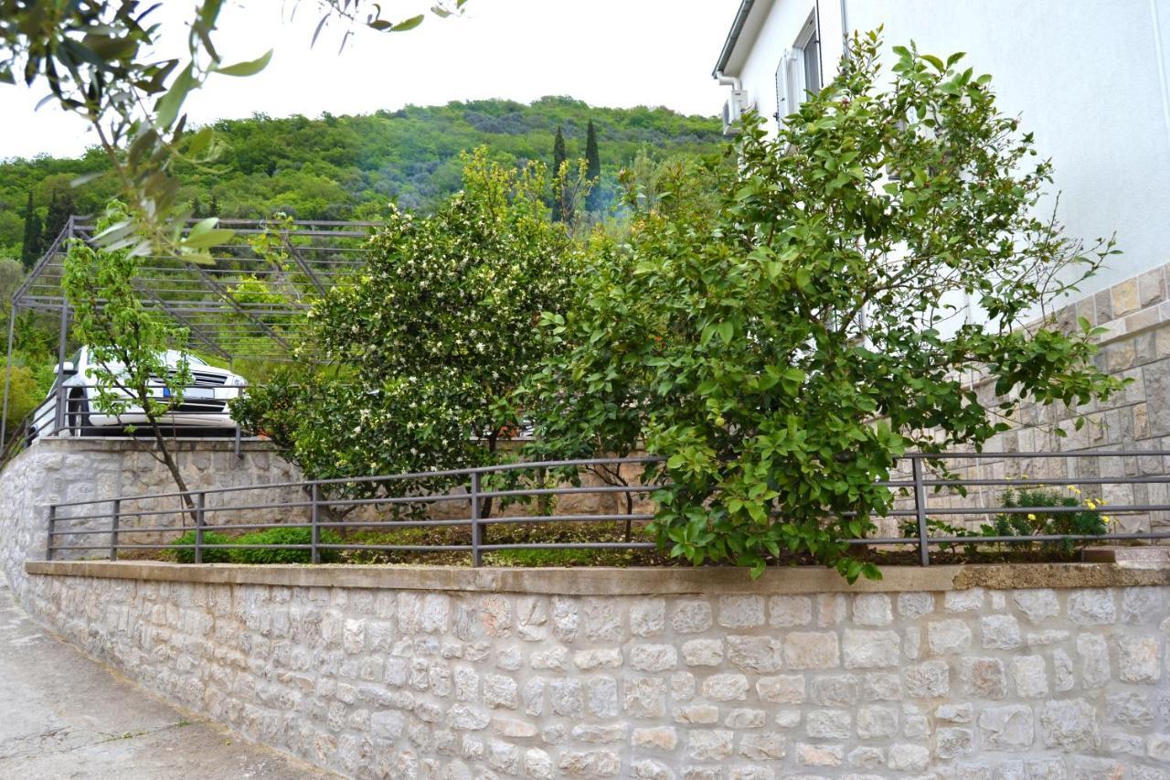 Tivat Apartments Exteriér fotografie